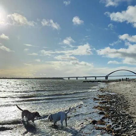 Daire Ferienresidenz Haus Vogelflug Penthouse App 15 Fehmarn