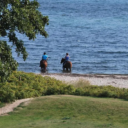 Daire Ferienresidenz Haus Vogelflug Penthouse App 15 *